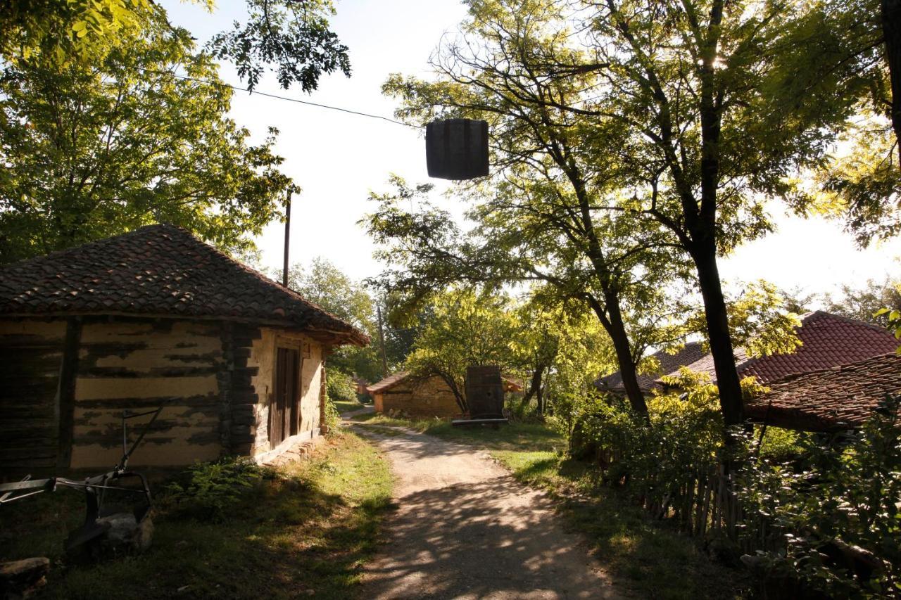 "Pivnica I Smestaj Jovanovic"- Rogljevacke Pivnice Rogljevo Exterior photo